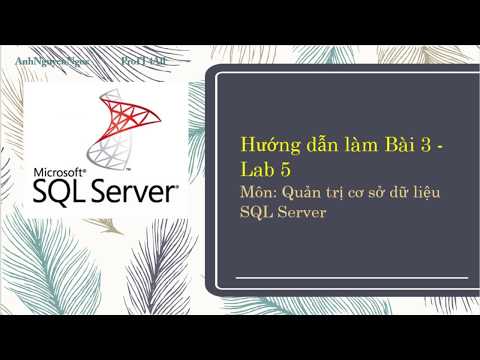 Lab 5.B3: Dùng thủ tục lưu trữ thực hiện chèn và cập nhật dữ liệu trong SQL Server