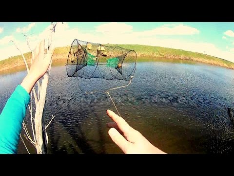 как ловить человека как ловить человека