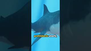 Prehistoric Wonders Curiosities Of Ancient World