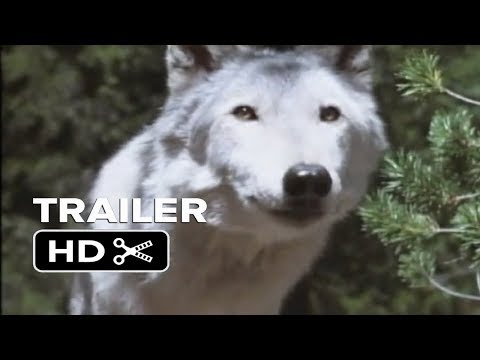 White Wolves A Cry In The Wild Ii