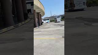Cesur Bingöl Turizm