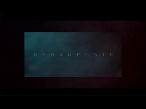 Alpha Wann - Hydroponie