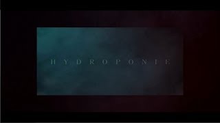 Watch Alpha Wann Hydroponie video