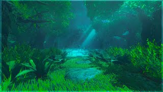 Pov You Fell Asleep In Korok Forest Zelda Music & Ambience