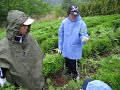 岡北中学校　山村体験