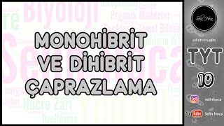 10) Monohibrit ve Dihibrit Çaprazlama