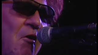 Watch Tony Joe White Undercover Agent For The Blues video