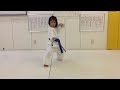 image Gekisai Dai Kyokushin Karate Kata