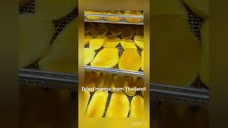 Dried Mango Thailand. Dehydration Process. Contact Us.