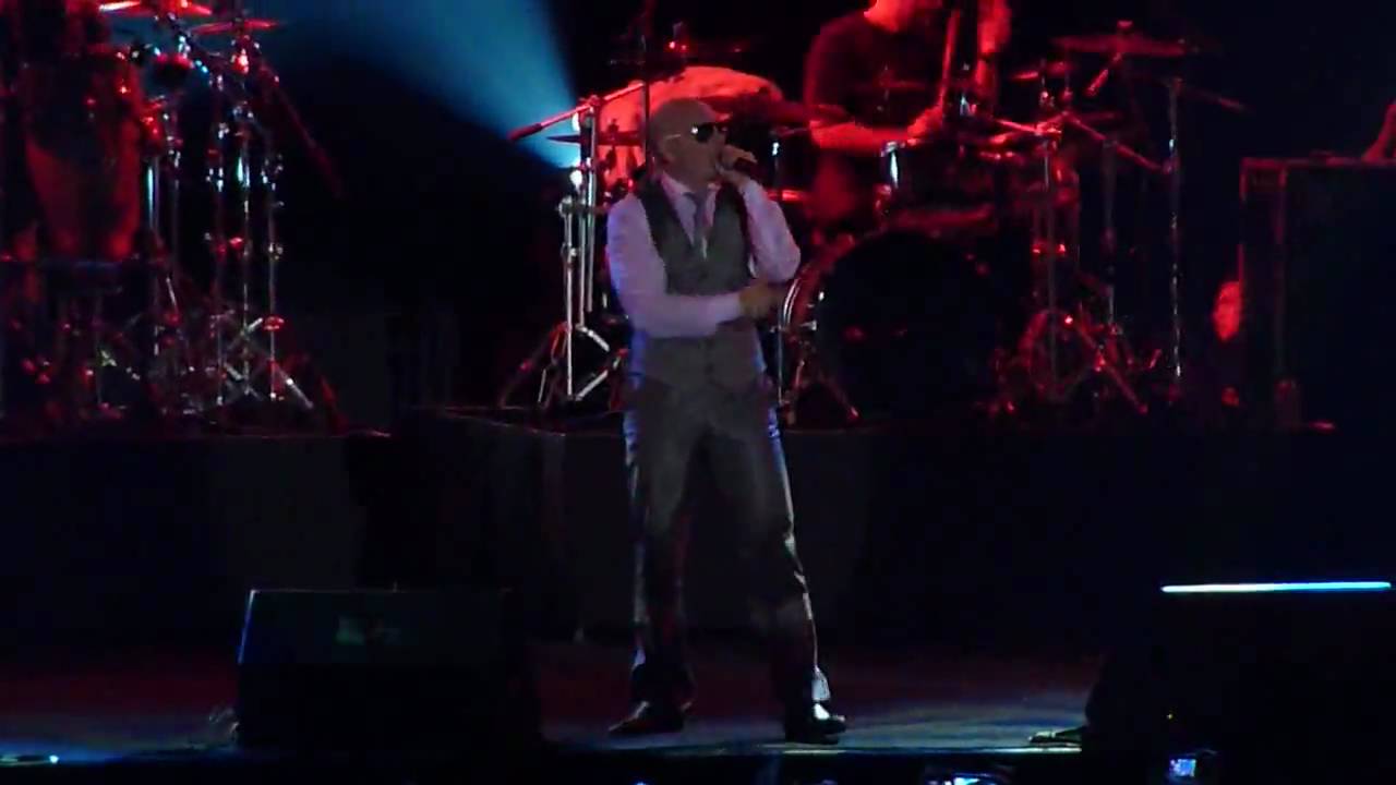 Mix Pitbull Hotel Room Servce Com Mix Pitbull Hotel Room Servce Com