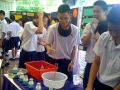 ตั๋งเกรียน+ยาสีฟันช้าง