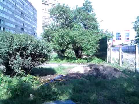 Застройщик уничтожает зеленую зону (Киев, Харьковское шоссе,2)
