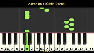 Astronomia (Coffin Dance) Melodika Org Notaları