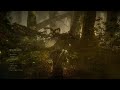 The Witcher 2 - Find Malena 1