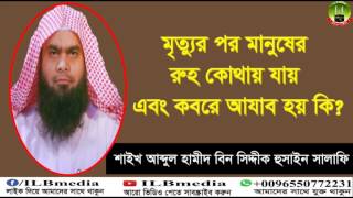 Mrittor Por Manuser Ruh Kothay Jay & Kobore Azab Hoy Ki? Sheikh Abdul Hamid Siddik Salafi Mrittor Por Manuser Ruh Kothay Jay & Kobore Azab Hoy Ki? Sheikh Abdul Hamid Siddik Salafi
