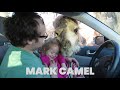 135 Animals As Celebrities Animal Pet Puns | The Pet Collective