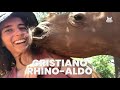135 Animals As Celebrities Animal Pet Puns | The Pet Collective