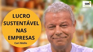 Netweaving e Lucro Sustentável