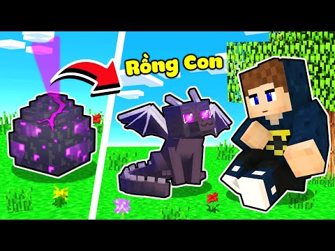 JAYGRAY THỬ THÁCH ẤP TRỨNG RỒNG NGUYÊN TỐ TRONG MINECRAFT*NUÔI RỒNG LỬA VÀ RỒNG ENDER TROLL NOOB
