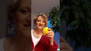 Podart.ch - Podcast Quattro Stagioni: frutta