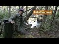 Dog proof trap set for raccoon - youtube