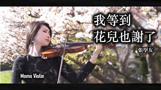 我等到花兒也謝了 - 張學友 小提琴 Violin Cover By Momo