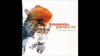 Watch Strapping Young Lad Far Beyond Metal video