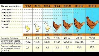 Как своими руками сделать комбикорм для кур несушек 27
