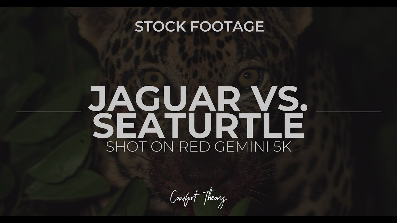 Stock Footage
