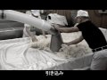 真澄お酒の麹造り Koji Making of the Masumi Sake