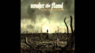 Watch Under The Flood Holding On video