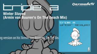 Watch Armin Van Buuren Winter Stayed Armin Van Buurens On The Beach Mix video