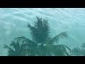 boca chica