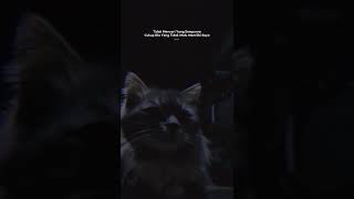 Story Wa Buat Pacar Tersayang