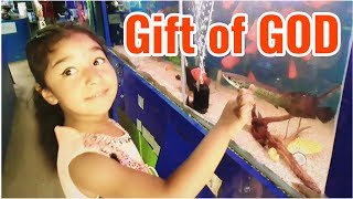 The Daughter is The Most Valuable Gift of GOD in Life !