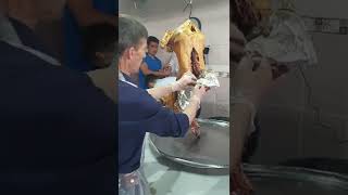 Kuyu Kebabı Kastamonu Kırcalarda Yenir 8.Temmuz.2022