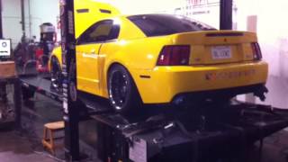 Видео Bob Kurgan tuned Mustangs at GTR Nov 9th 2012 big power street cars....! от qcklx, улица Малиновского, Курган, Россия