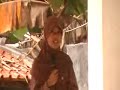 image Pildacil 7 Smp Negeri 4 Ngaglik