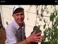 How I Would Grow a Vegetable Garden in the Northeast Gardening Consult