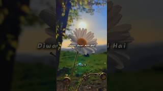 Mohabbat Ki Nahi Jati Mohabbat Aazmaati Hai - Slowed And Reverb