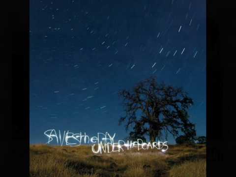 Stay Video