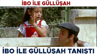 İbo ile Güllüşah Türk Filmi | İbo ile Güllüşah Tanışıyor! Kemal Sunal Filmleri