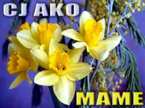Скачать песню cj ako люблю июнь