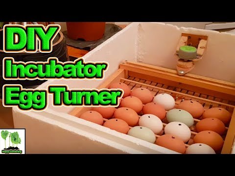 Home Made Incubator With Automatic Egg Turner How To Make & Do