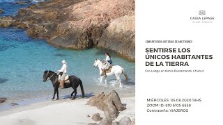 Sentirse los únicos habitantes de la tierra. Eco Lodge Bahia Bustamante