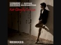 Not Giving Up On Love (Armin van Buuren Remix) Armin van Buuren Vs. Sophie Ellis-Bextor