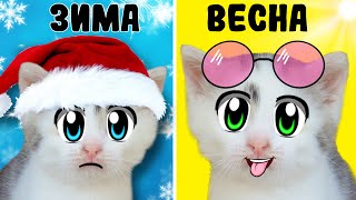 24 Часа С Котами Весной Челлендж! Кот Малыш И Кошечка Мурка Ищут Бункер В Реальной Жизни!