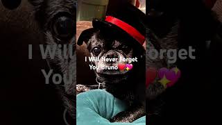 Your In A Better Place Now Buddy