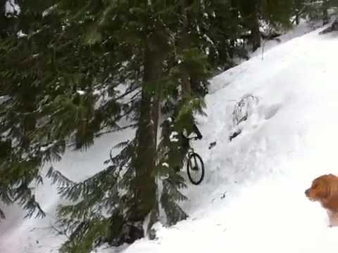 Curly snow Video Curly snow Video