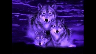 Watch Shivaree Someday video